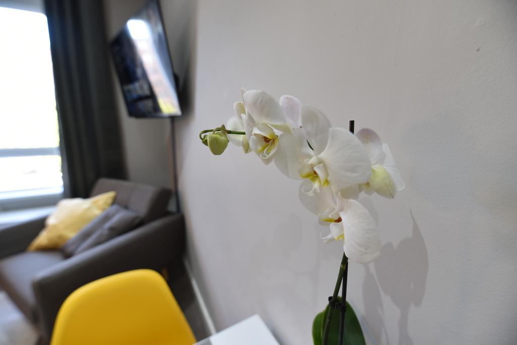 Meadowbank House Luxury Apartment Edynburg Zewnętrze zdjęcie